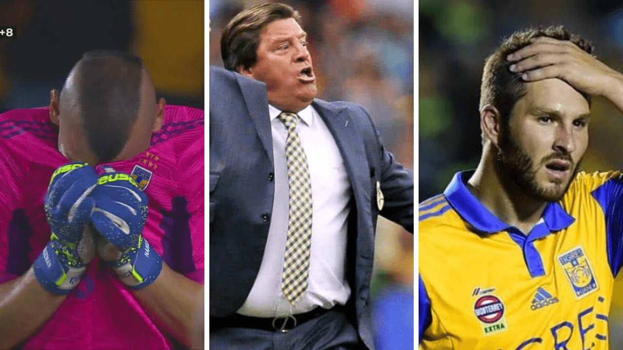 The tournament's Disciplinary Commission has announced the punishment that the Felinos will receive.