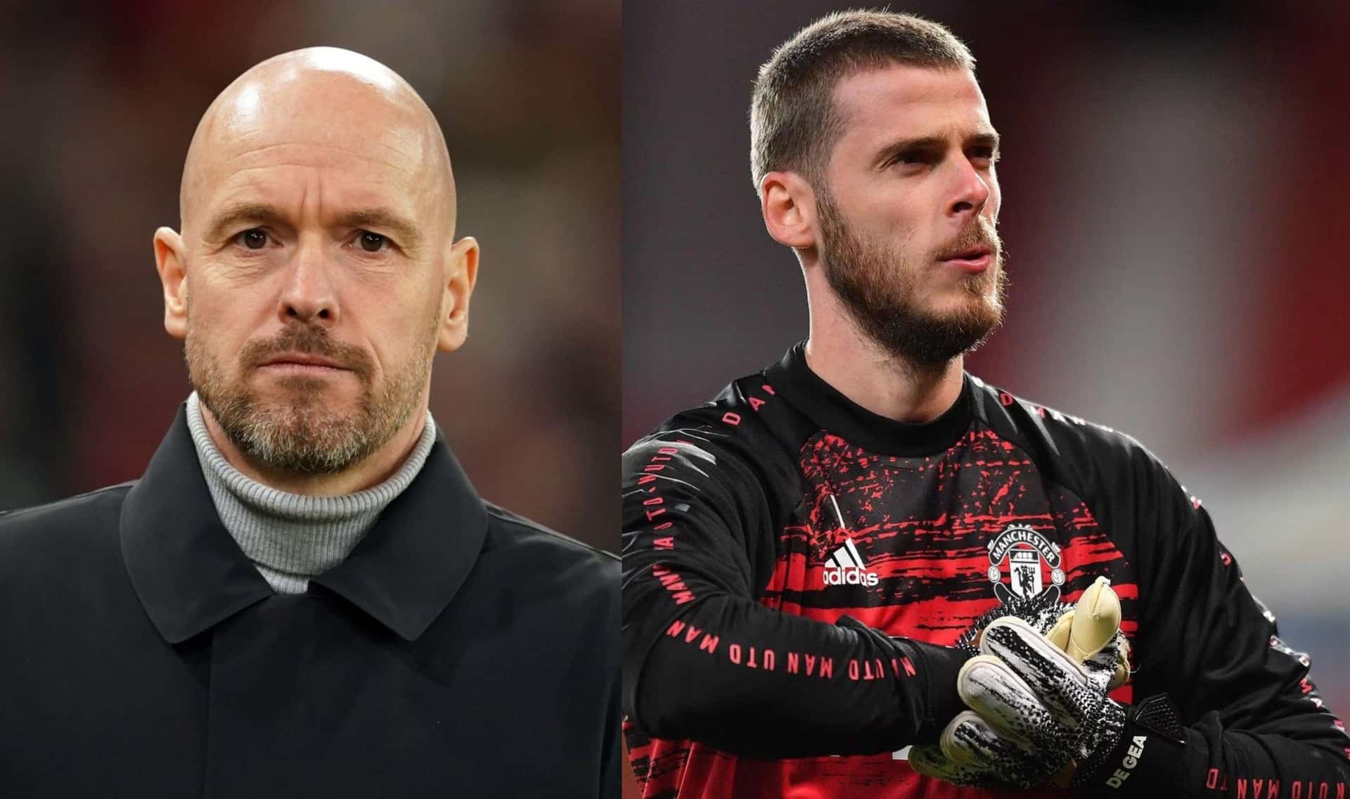 They said they wanted competition for the goalkeeper, the best news that David De Gea receives