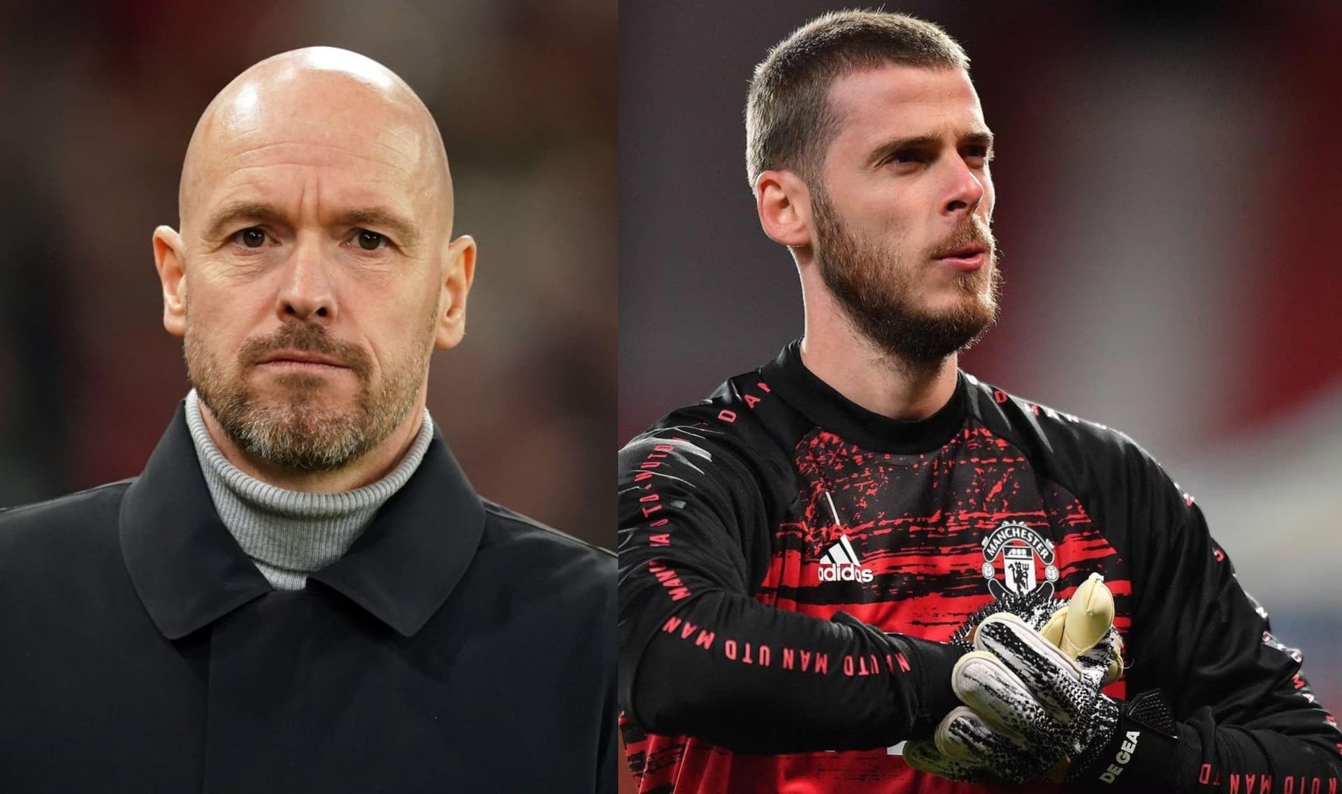 They said they wanted competition for the goalkeeper, the best news that David De Gea receives