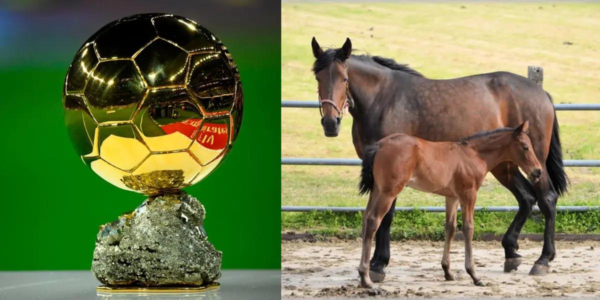 This retired player now plays in a field that has nothing to do with soccer.