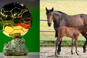 This retired player now plays in a field that has nothing to do with soccer.