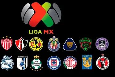 Throughout the history of Mexican soccer, 24 different teams have been champions of the tournament.