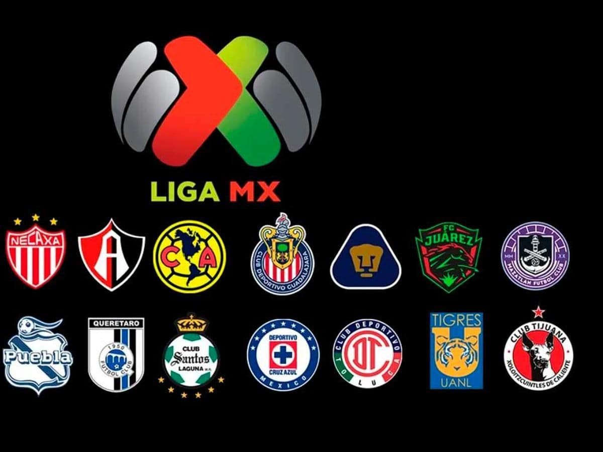 Throughout the history of Mexican soccer, 24 different teams have been champions of the tournament.