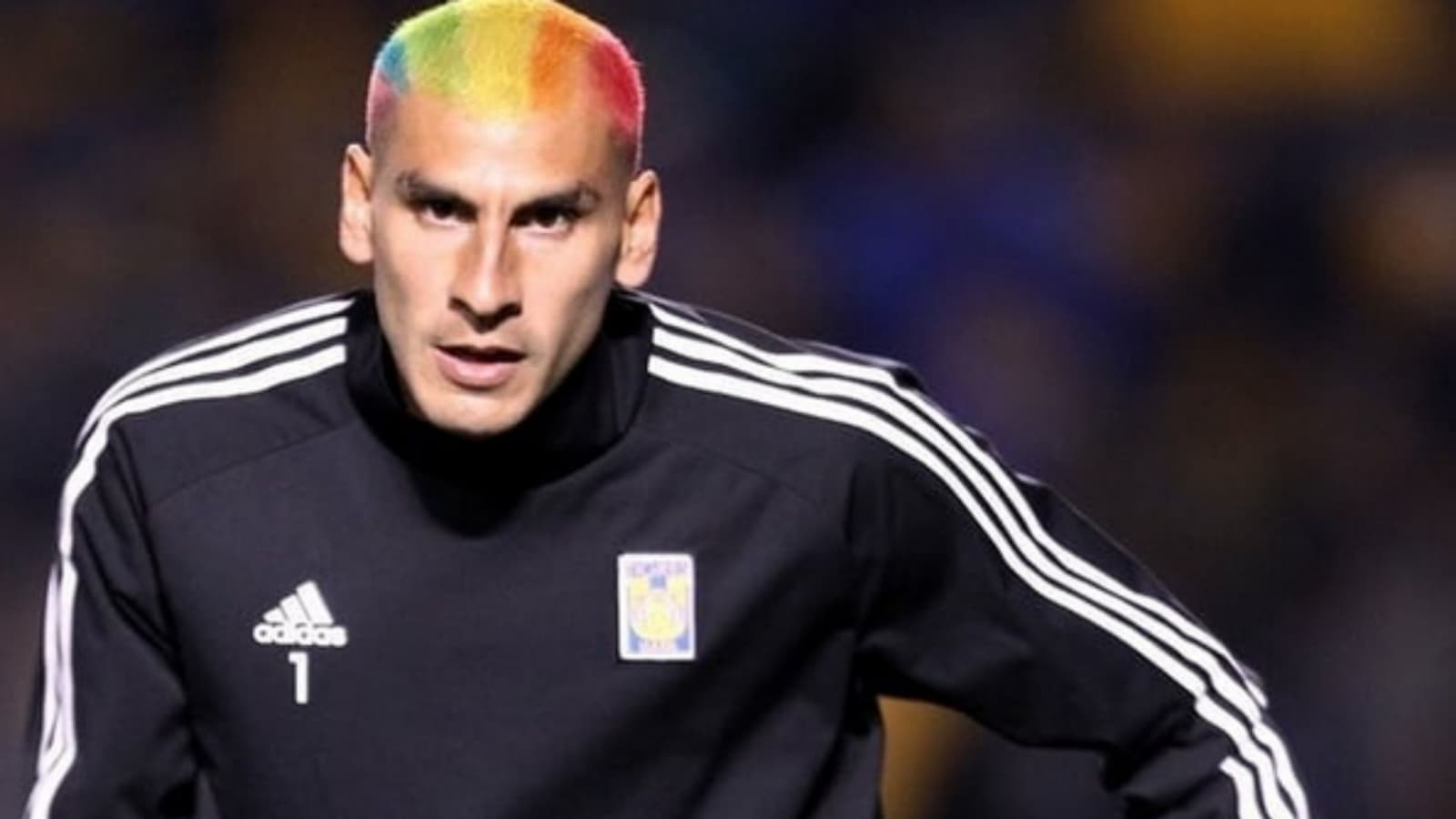 Tigres would be thinking of an international goalkeeper who plays in Europe to replace Nahuel Guzman