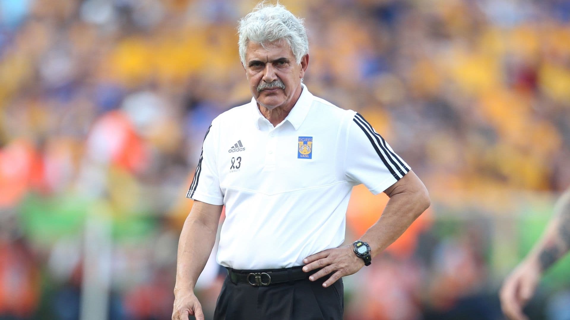 “Tuca” Ferretti will try to convince Gignac to arrive with him.