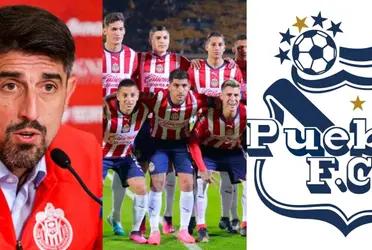 Veljko Paunovic made an important decision with this player