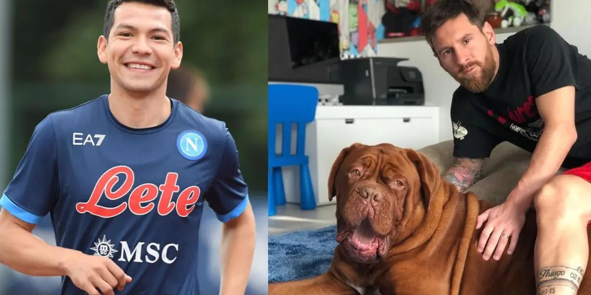 World Dog Day is celebrated. Social networks are flooded with photographs of pets. This is the price difference between the mascots of the two players.