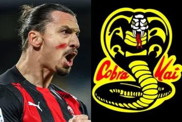 Zlatan Ibrahimovic finally returned to the field, on the victory of AC Milan against Torino this Saturday. The attacker recovered himself after suffering an injury and could return to play some minutes once again with the team that stands in the first position of the Serie A.
